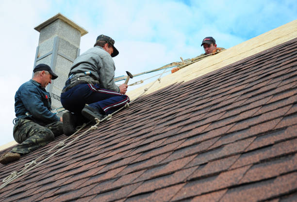 Best Best Roofing Contractors  in Waimalu, HI